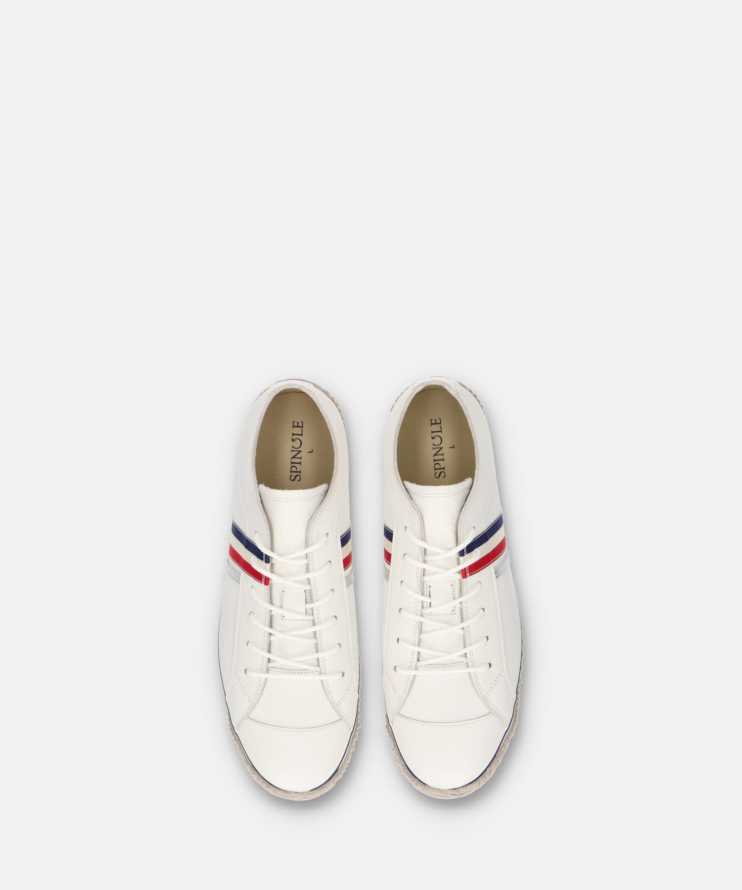 SP-168 Tricolor - SPINGLE